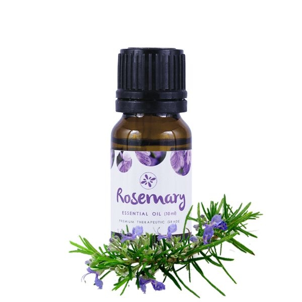 Skin Cafe 100% Natural Essential Oil - Rosemary-0