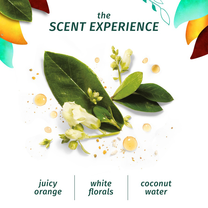 Herbal Essence Smooth Golden Moringa Oil Conditioner Shajgoj