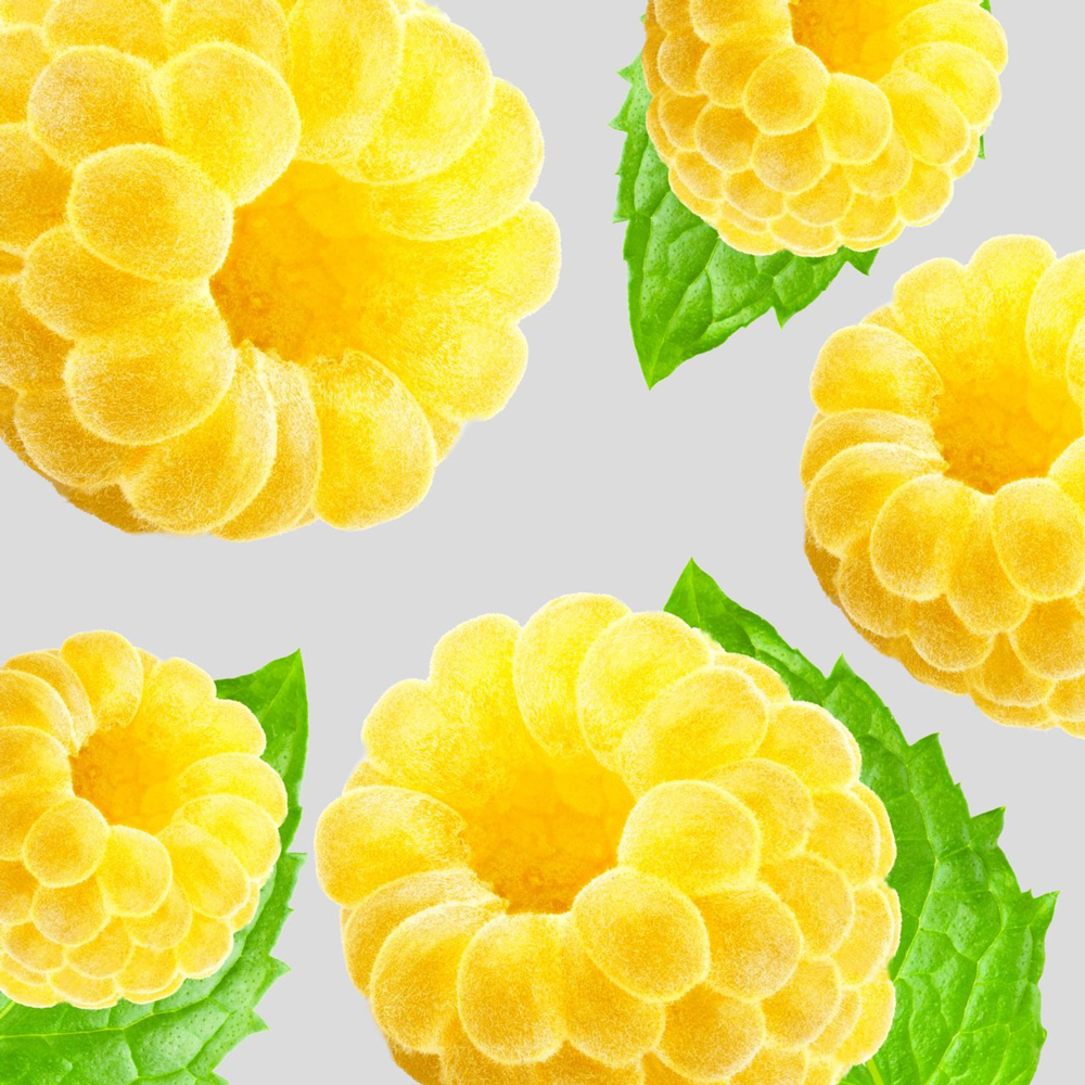 Herbal Essences Daily Detox Clean Golden Raspberry & Mint Shampoo Shajgoj