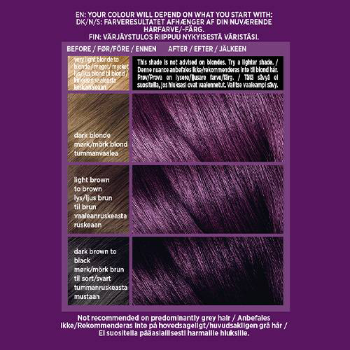 L'Oreal Colorista Magnetic Plum Permanent Hair Dye Gel – Shajgoj