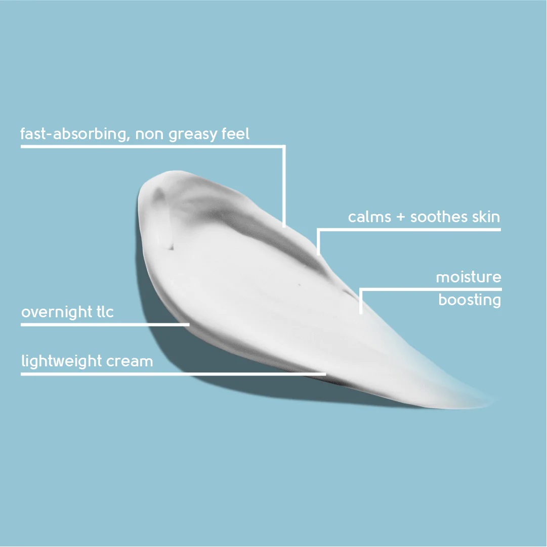 Face Facts Hydrating Night Cream Shajgoj